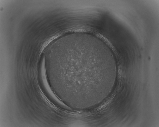 X0000086300725200704091020