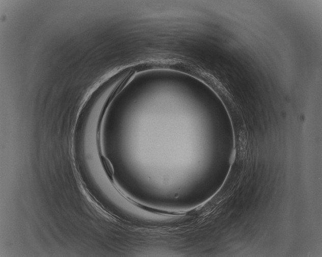 X0000086300726200704091020