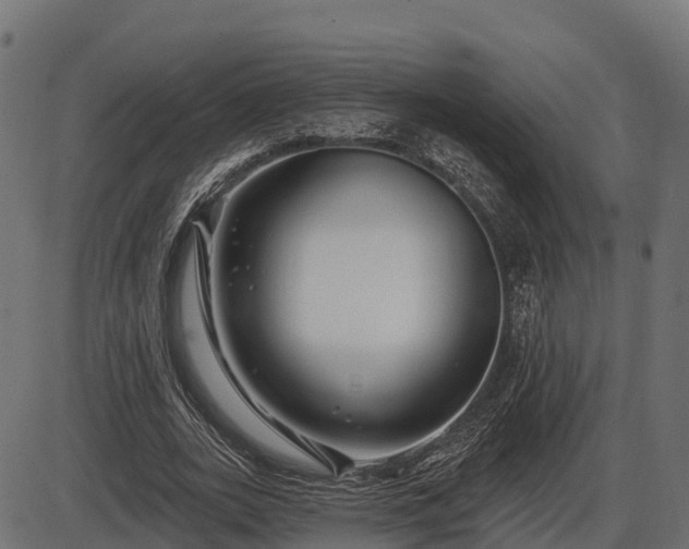 X0000086300727200704091020