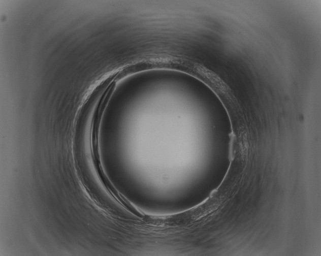 X0000086300728200704091020