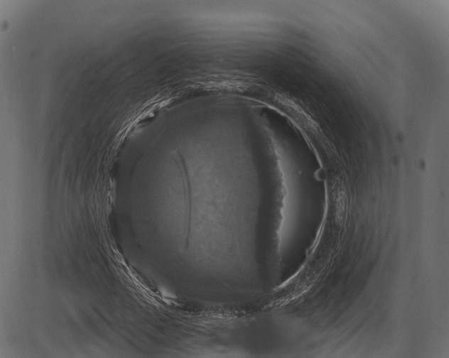 X0000086300729200704091020