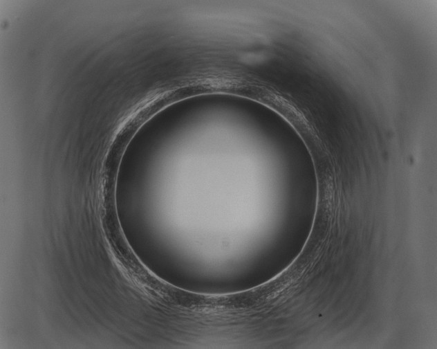 X0000086300730200704091020