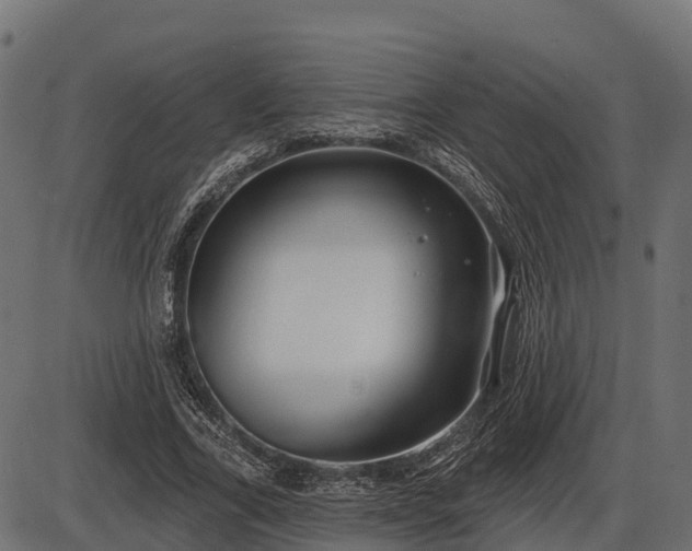 X0000086300731200704091020