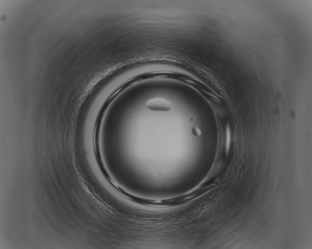 X0000086300732200704091020