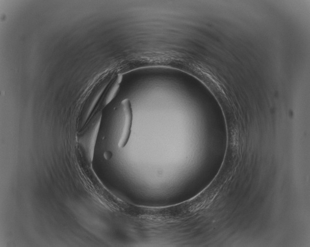 X0000086300733200704091020