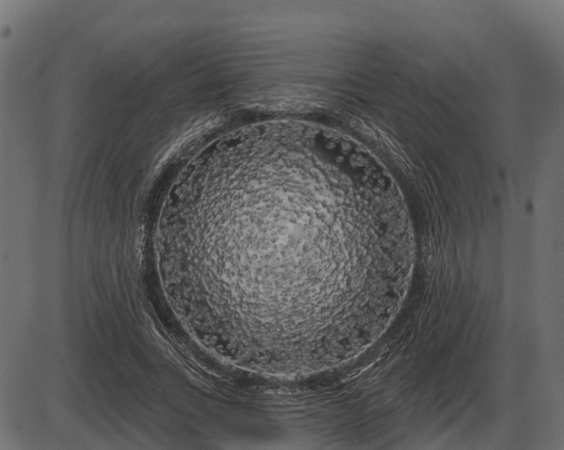 X0000086300735200704091020