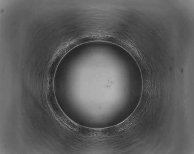 X0000086300736200704091020