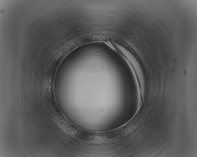 X0000086300737200704091020