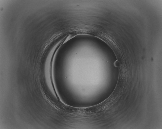 X0000086300738200704091021