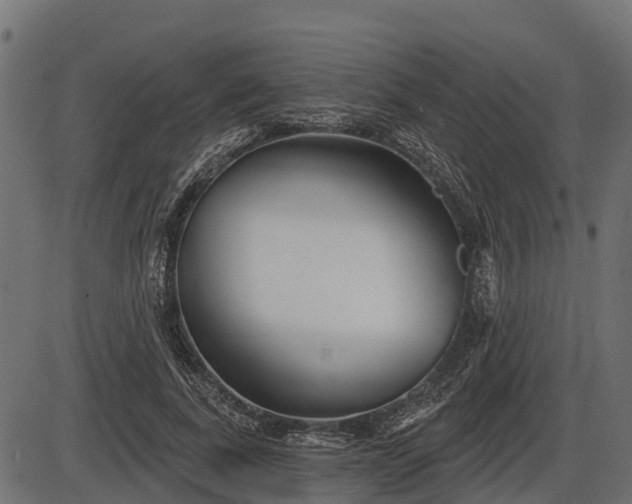 X0000086300739200704091021