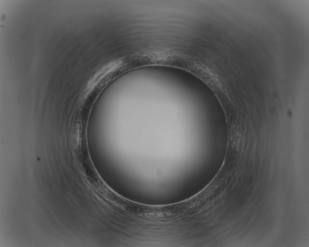 X0000086300740200704091021