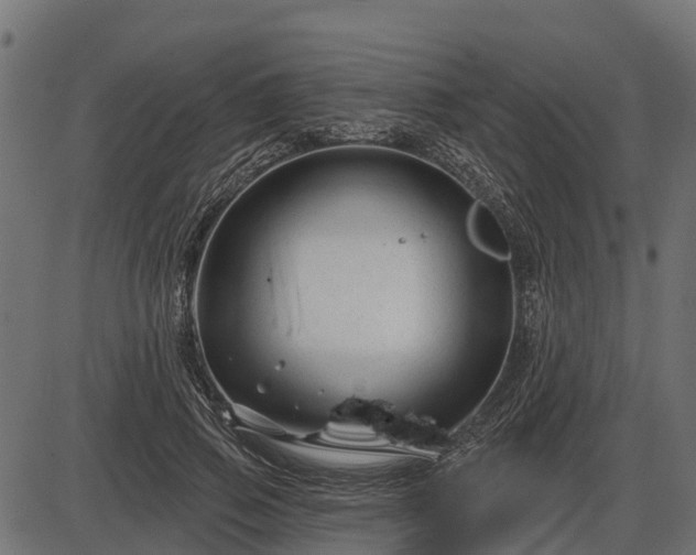 X0000086300741200704091021