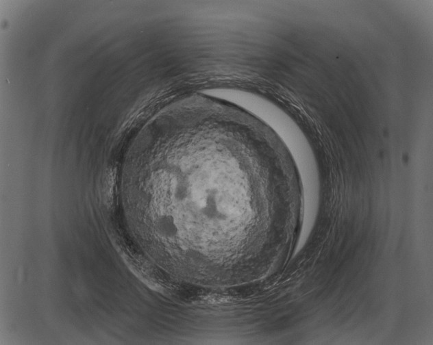 X0000086300742200704091021