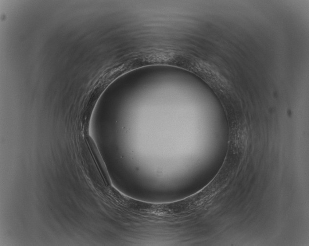 X0000086300743200704091021