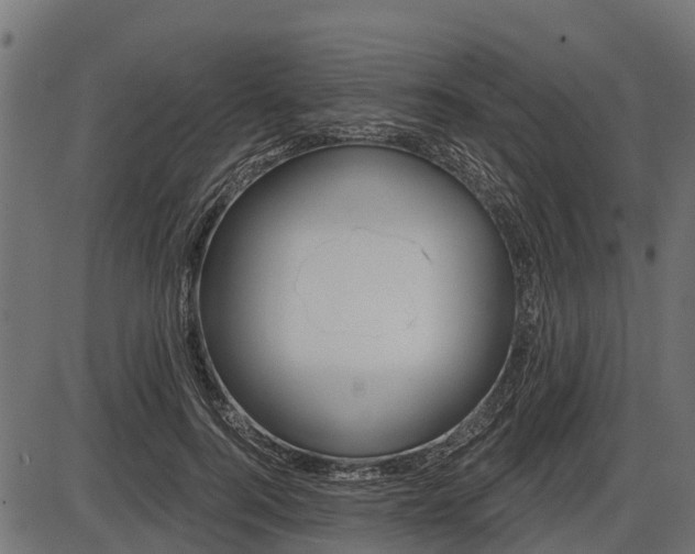 X0000086300744200704091021