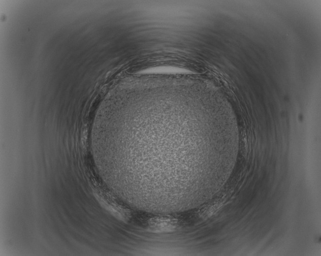 X0000086300745200704091021