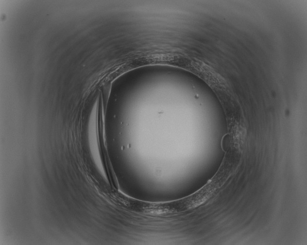 X0000086300746200704091021