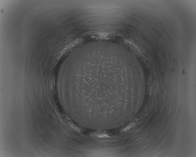 X0000086300747200704091021