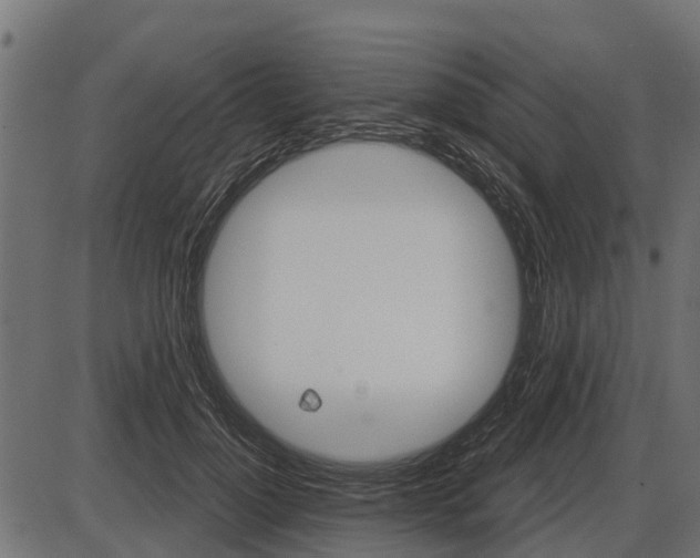 X0000086300748200704091021