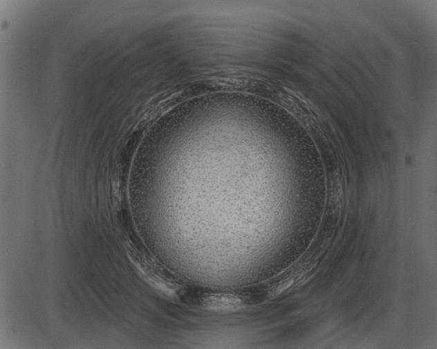 X0000086300749200704091021