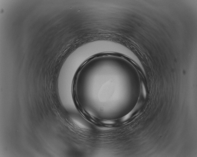 X0000086300750200704091021