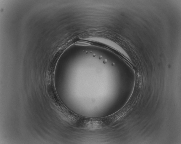 X0000086300751200704091021