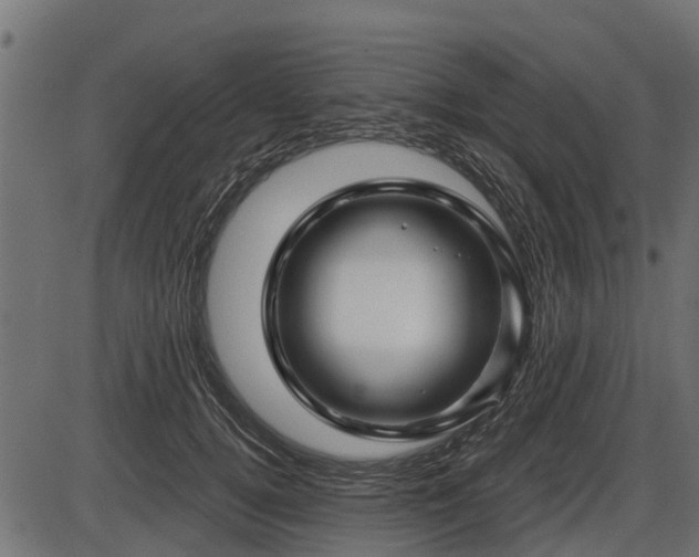 X0000086300752200704091021