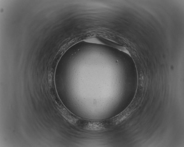 X0000086300753200704091021