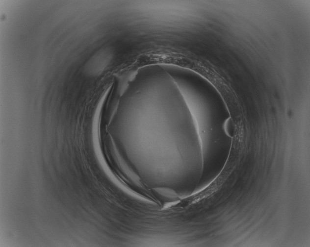 X0000086300754200704091021