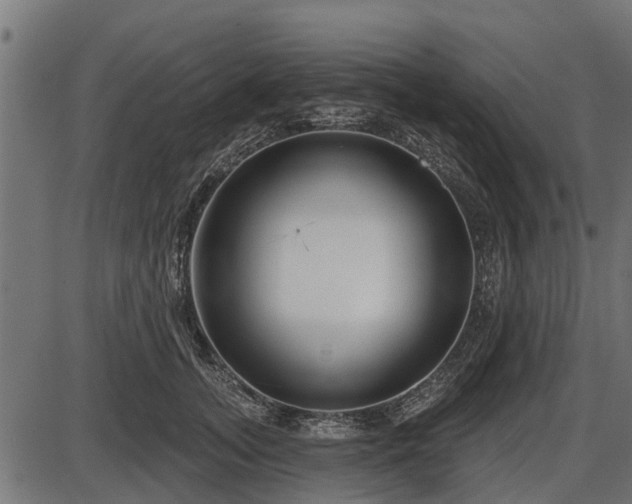 X0000086300755200704091021