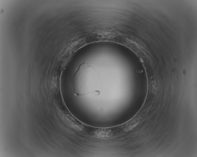 X0000086300756200704091021