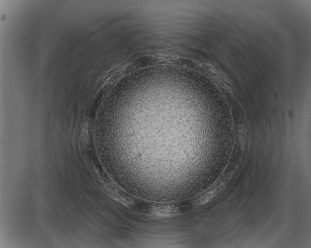 X0000086300757200704091021