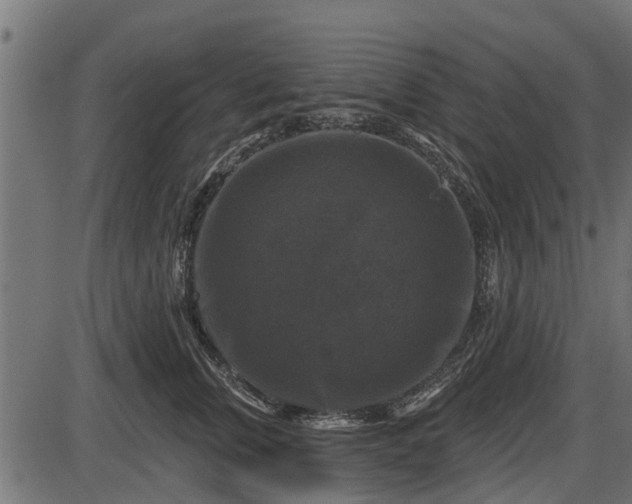 X0000086300759200704091021