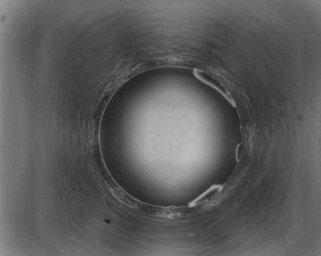 X0000086300760200704091021