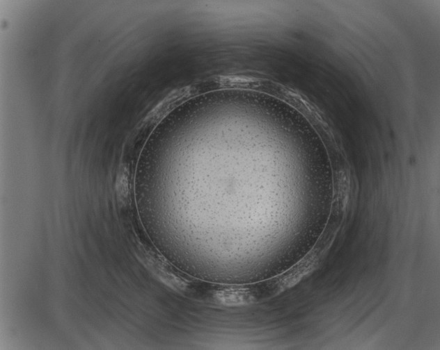 X0000086300761200704091021