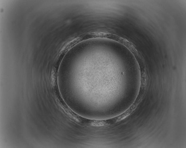 X0000086300762200704091021