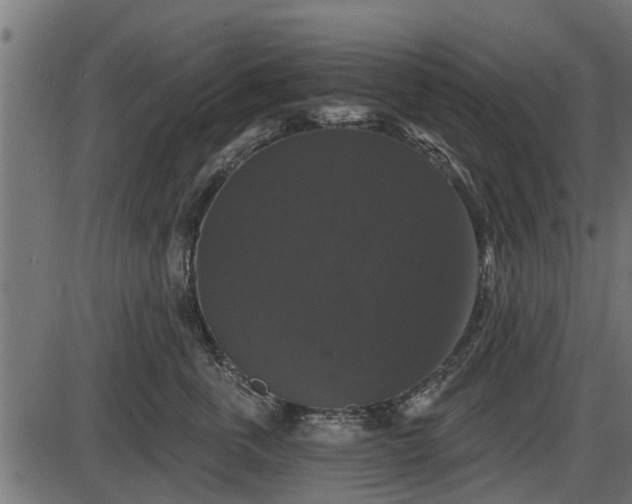 X0000086300763200704091021