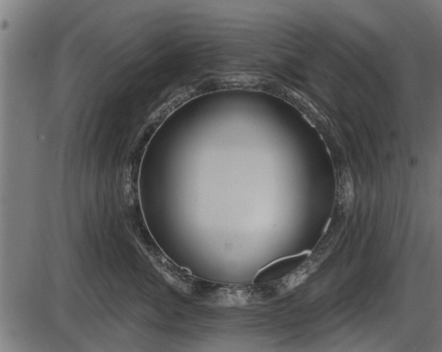 X0000086300764200704091021