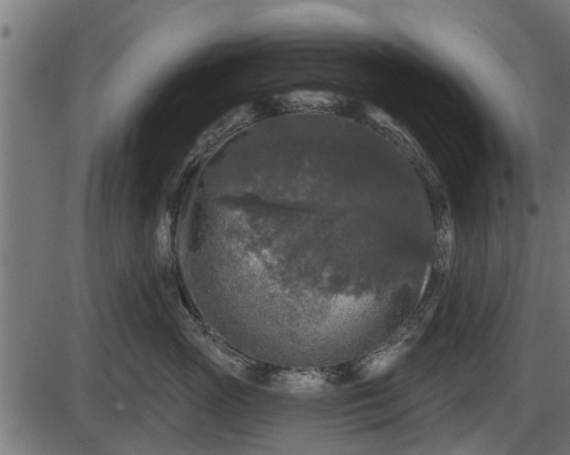 X0000086300765200704091021