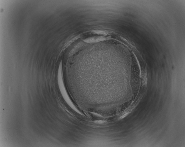 X0000086300766200704091021