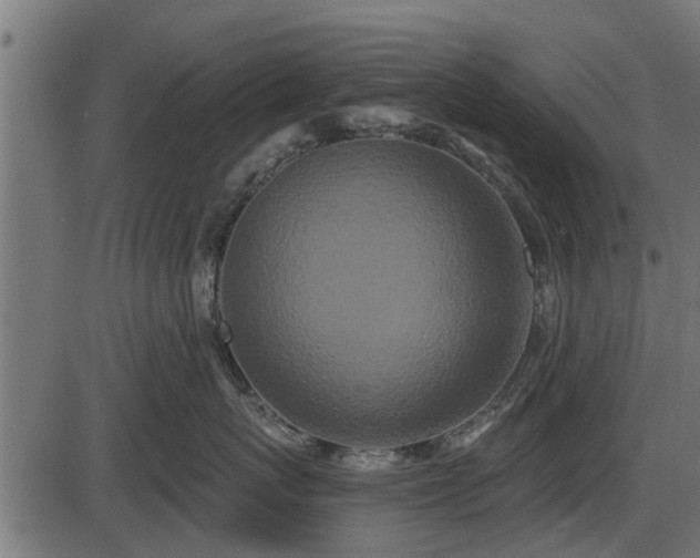 X0000086300767200704091021