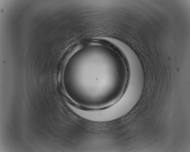 X0000086300768200704091021