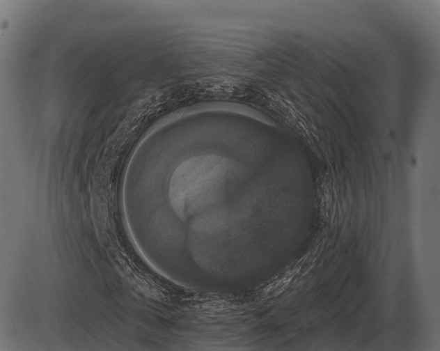 X0000086300769200704091020