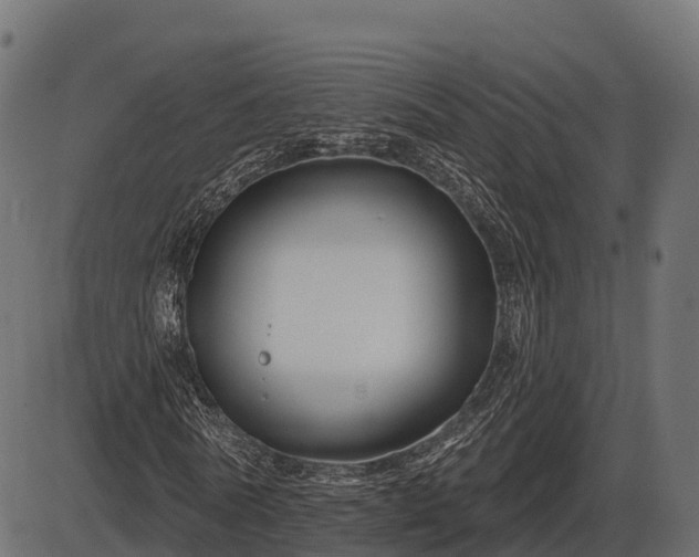 X0000086300770200704091020