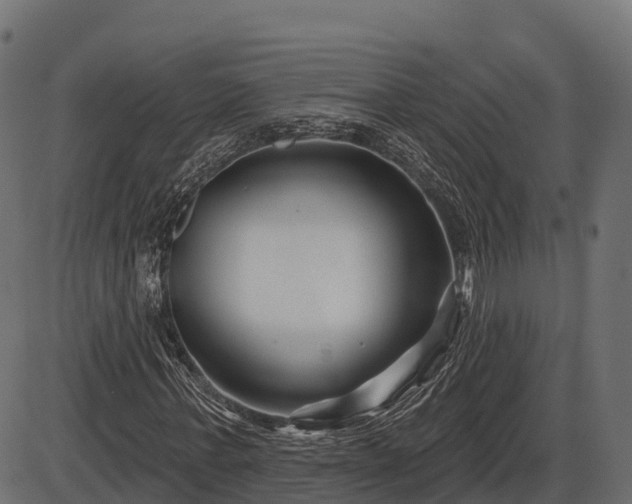 X0000086300771200704091020