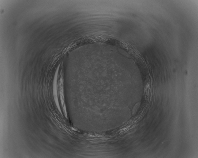 X0000086300772200704091020