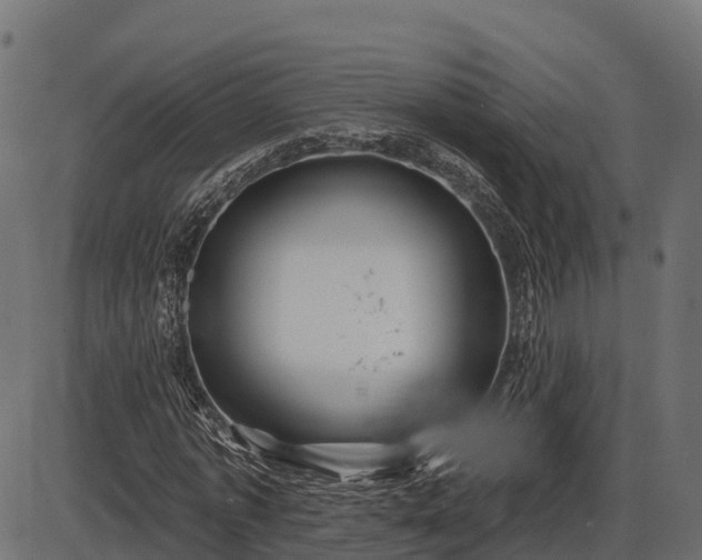 X0000086300773200704091020