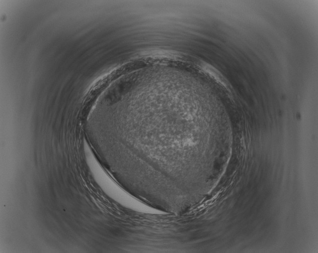 X0000086300775200704091020