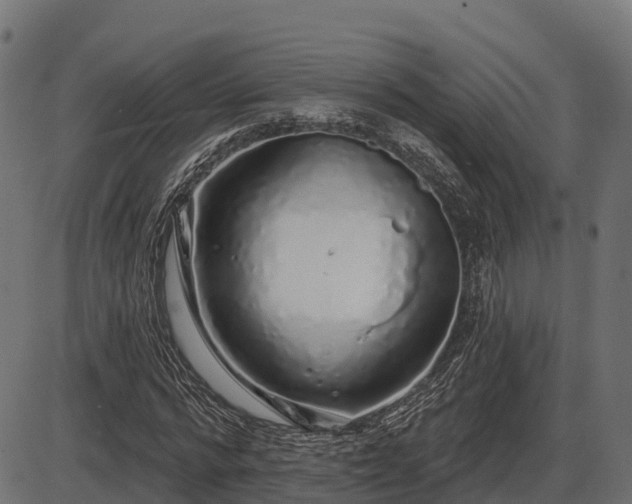 X0000086300776200704091020