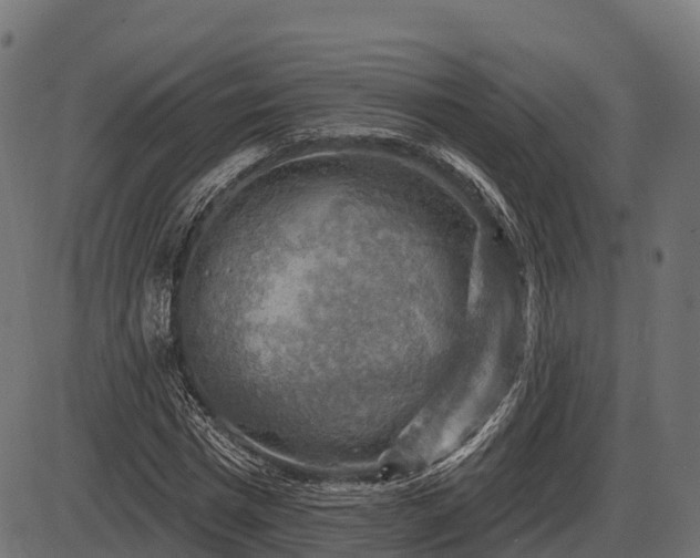 X0000086300777200704091020